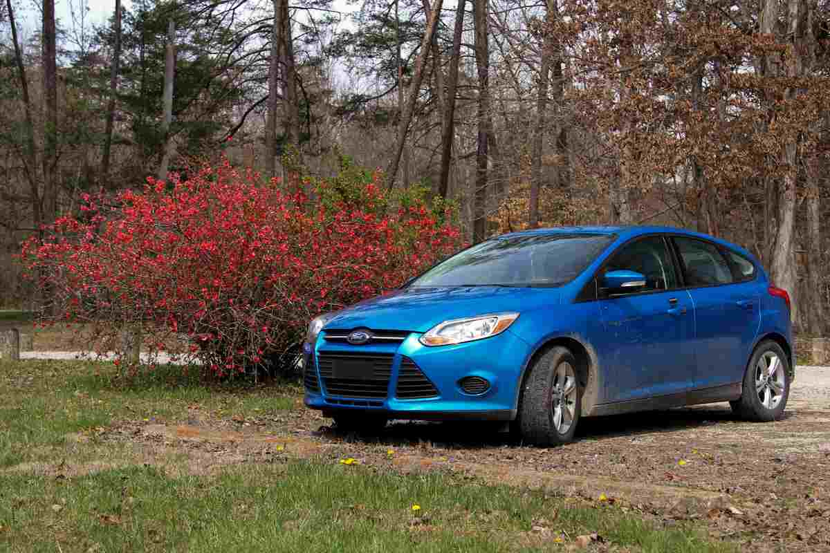 Colores coches Ford